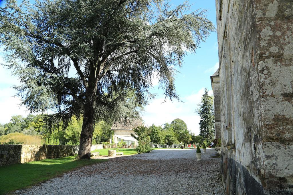 Chateau De Courtebotte Saint-Jean-de-Blaignac Εξωτερικό φωτογραφία